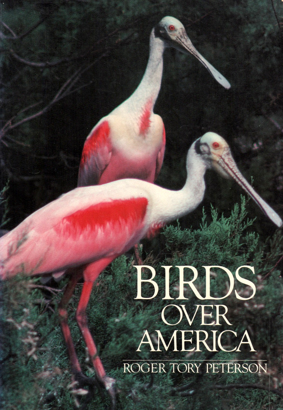 Birds Over America (Roger Tory Peterson)