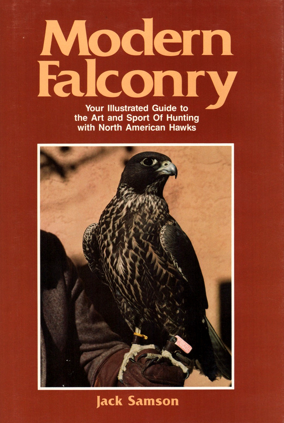Modern Falconry (Jack Samson)